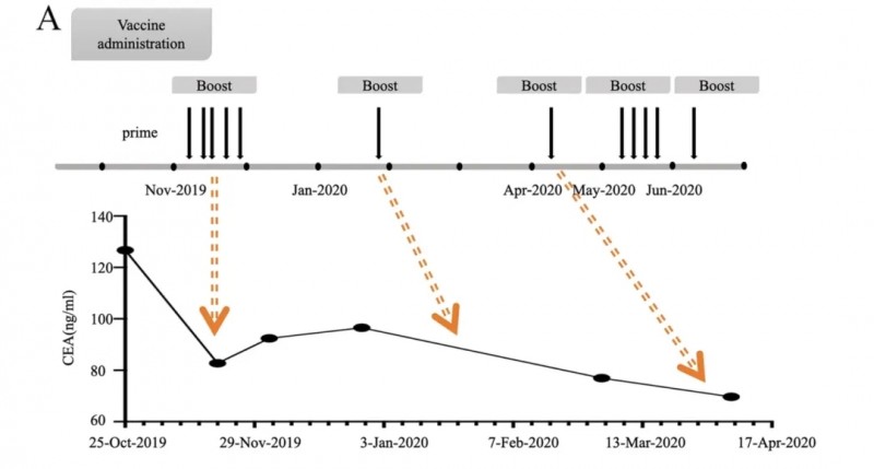 癌症疫苗治疗结直肠癌的数据