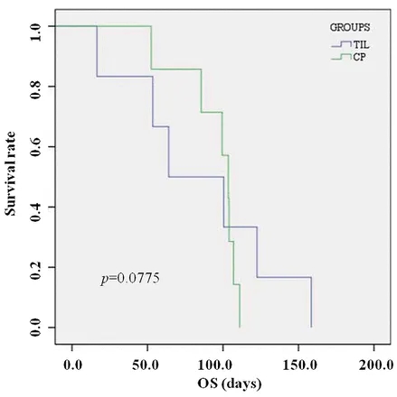 TIL细胞疗法治疗恶性腹水的总生存期