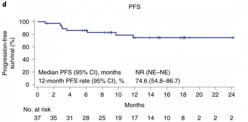 阿基伦赛治疗数据