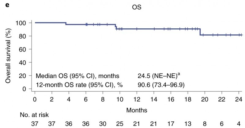 阿基伦赛的治疗数据