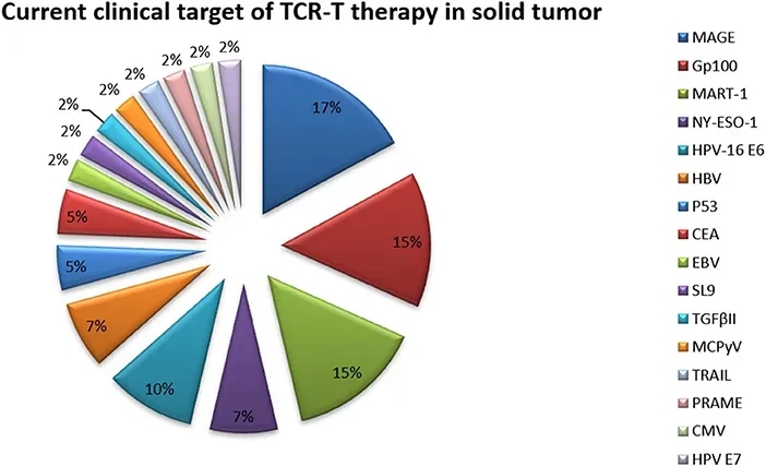 TCR-T细胞疗法的在研靶点