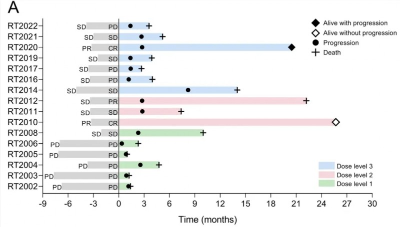 树突细胞疫苗治疗胰腺癌的数据
