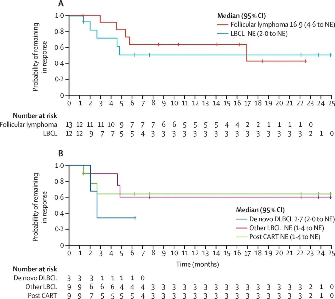 FT596治疗淋巴瘤的效果