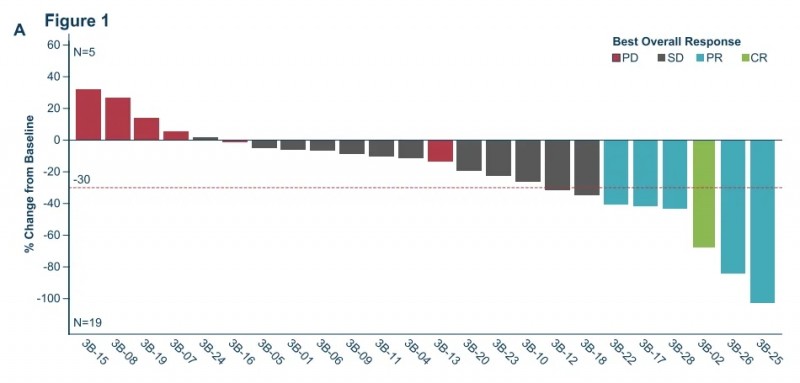 lifileucel疗法治疗数据