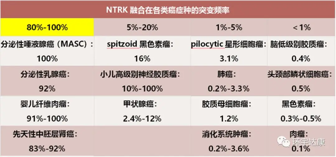 受试者全部获益！国研泛癌种靶向药TL118震撼登场，多中心启动招募