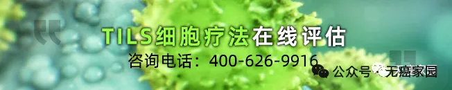 客观缓解率达50%后再升级！国研TIL疗法携手PD-1获批一线治疗黑色素瘤IND，更多实体瘤将受益
