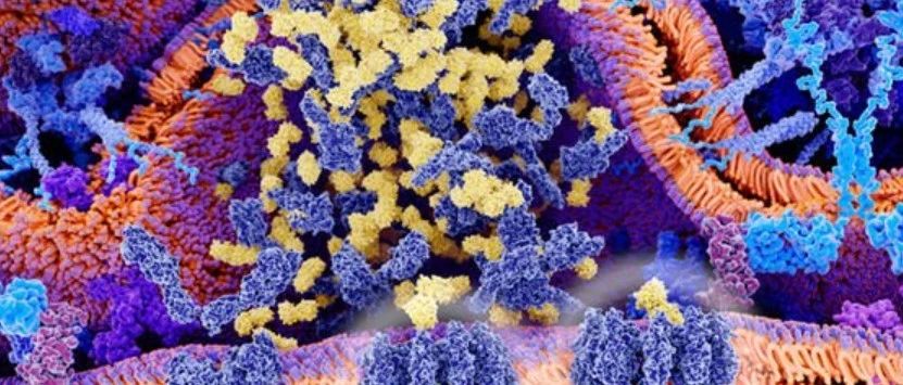 结直肠癌靶向药,结肠癌靶向治疗,结直肠癌靶向治疗,直肠癌基因