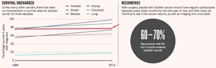 膀胱癌具有高复发性，5年生存率约为80%
