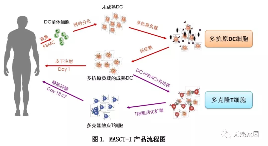 MASCT-I治疗流程