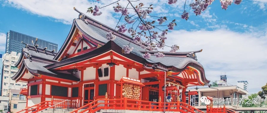 日本医院 日本医院