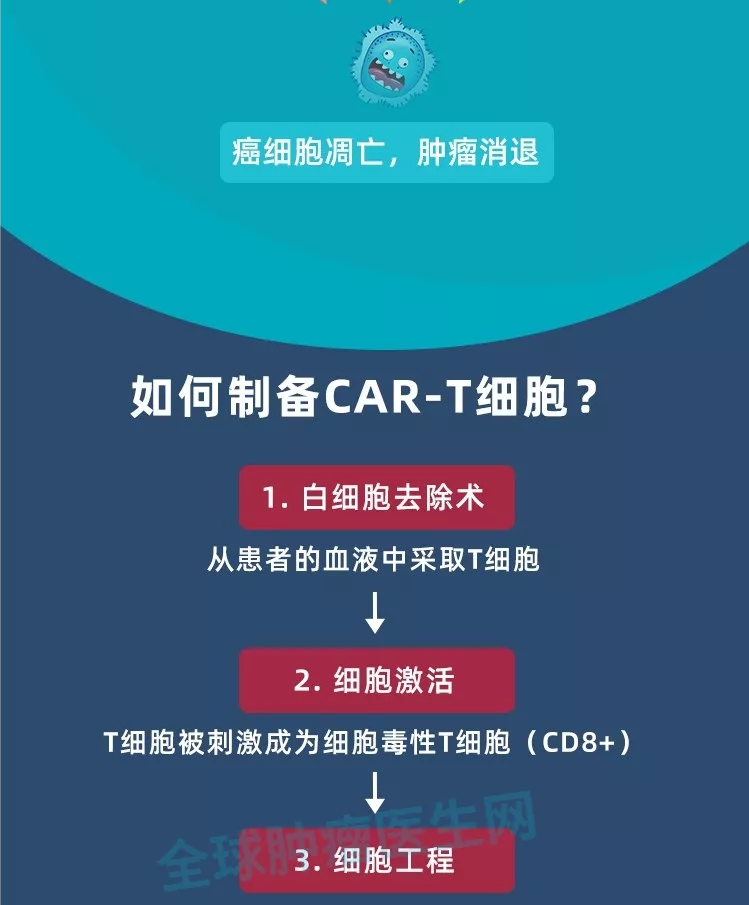 CAR-T细胞制备 CAR-T细胞制备