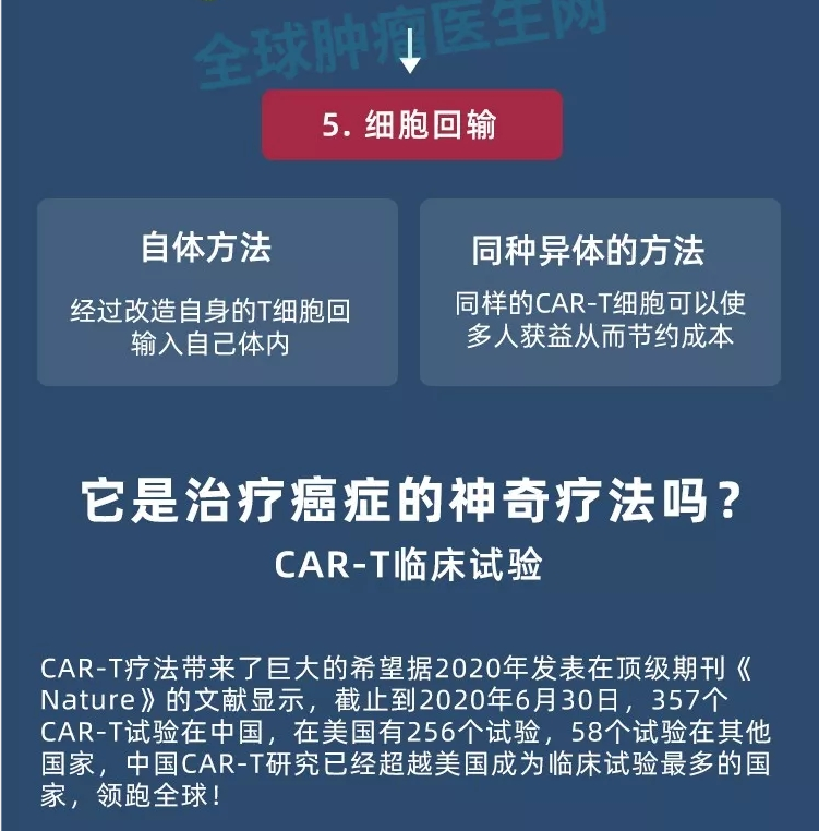 CAR-T细胞回输 CAR-T细胞回输