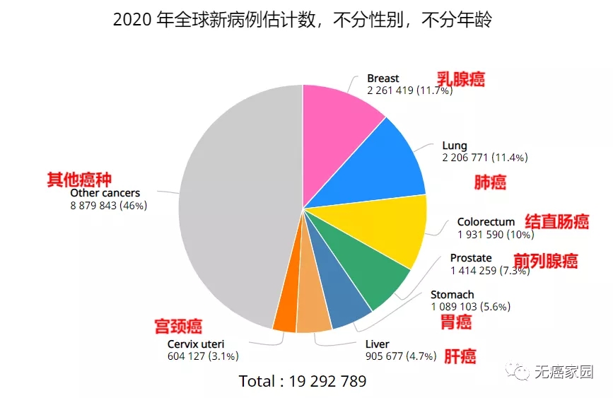 2020年各癌种发病率