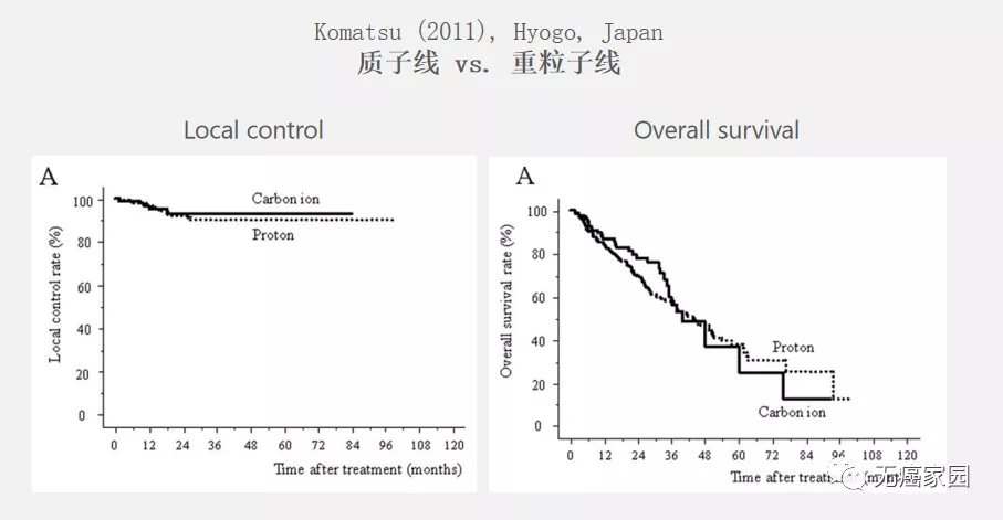 质子线和重离子线对比 质子线和重离子线对比