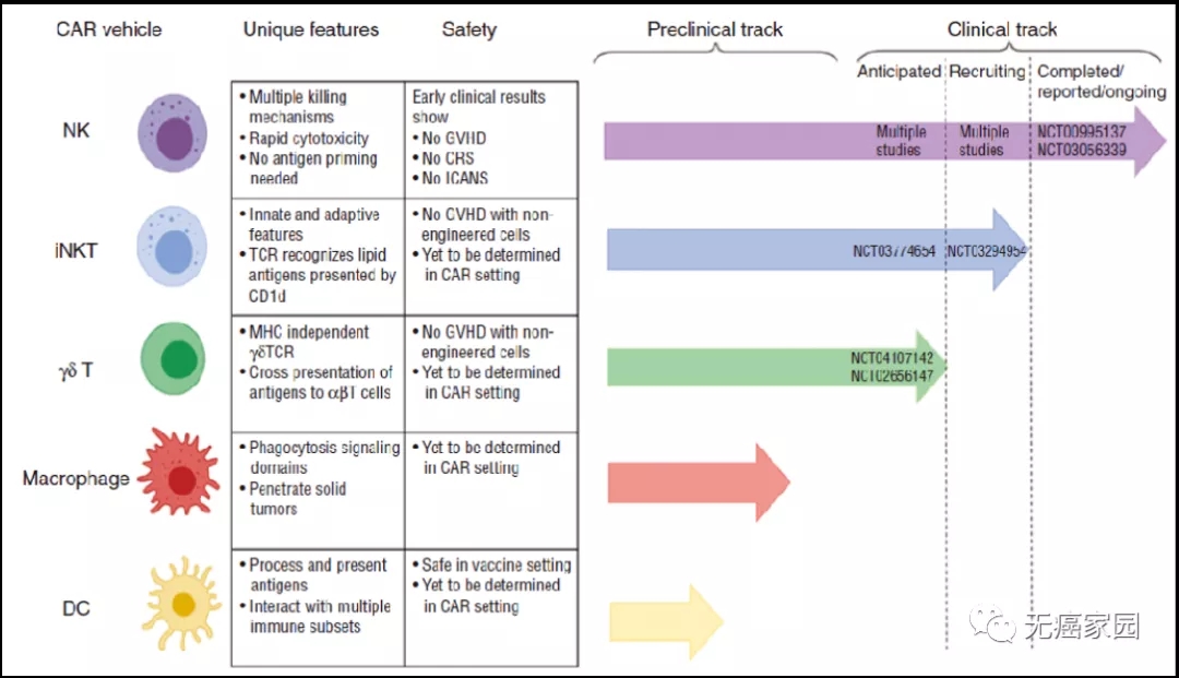 细胞免疫疗法 细胞免疫疗法