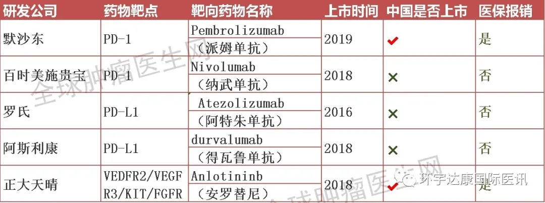 小细胞肺癌靶向和免疫治疗药物 小细胞肺癌靶向和免疫治疗药物