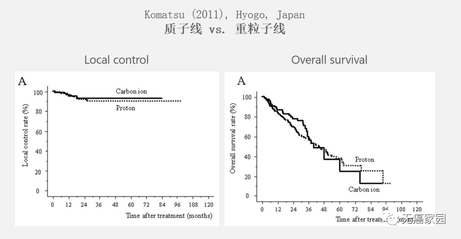 质子线和重离子线对比 质子线和重离子线对比