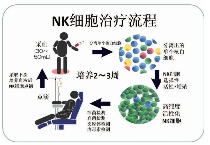 細胞免疫療法,腫瘤細胞免疫治療的新方向-car-nk細胞療法