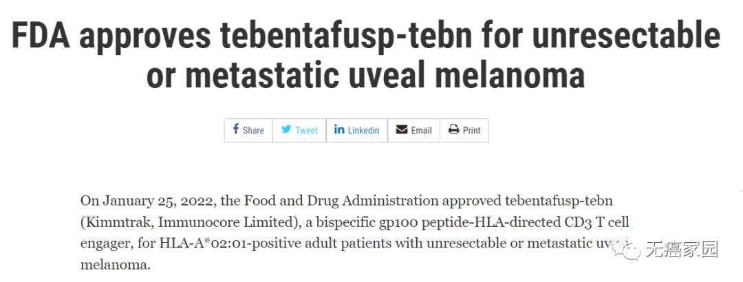 TCR-T疗法获得FDA批准上市 TCR-T疗法获得FDA批准上市