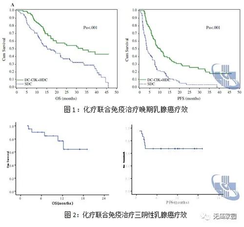 化疗联合细胞免疫治疗乳腺癌的数据 化疗联合细胞免疫治疗乳腺癌的数据