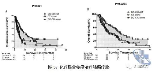 化疗联合免疫治疗肺癌的疗效 化疗联合免疫治疗肺癌的疗效