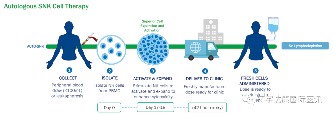 NK细胞免疫疗法 NK细胞免疫疗法