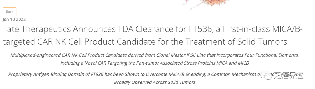 NK细胞疗法报道 NK细胞疗法报道