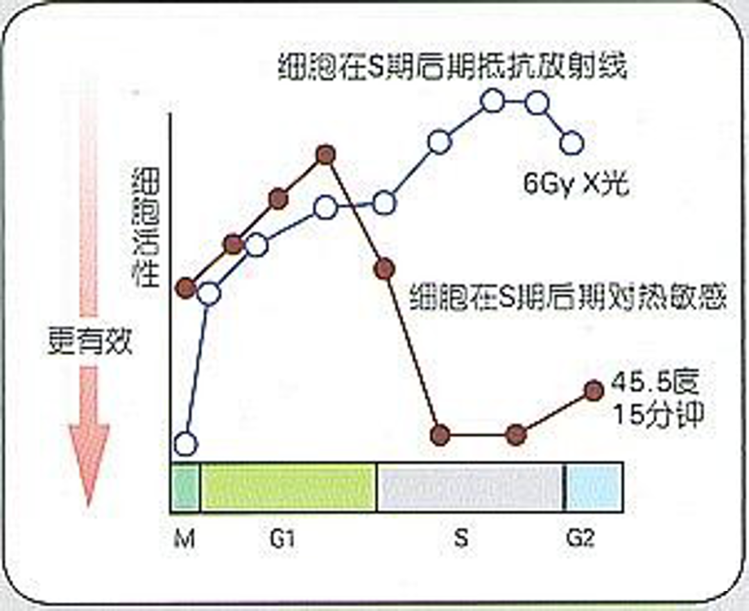 放疗联合热疗的治疗数据