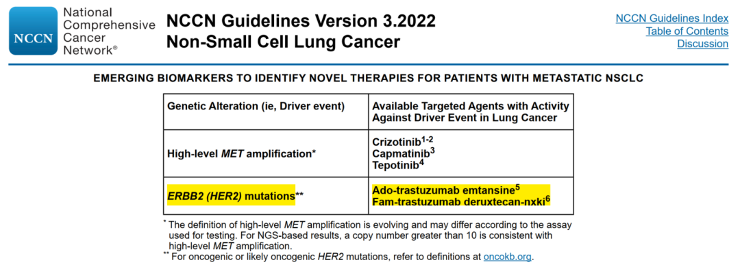 NCCN指南推荐用于HER2突变NSCLC靶向药物