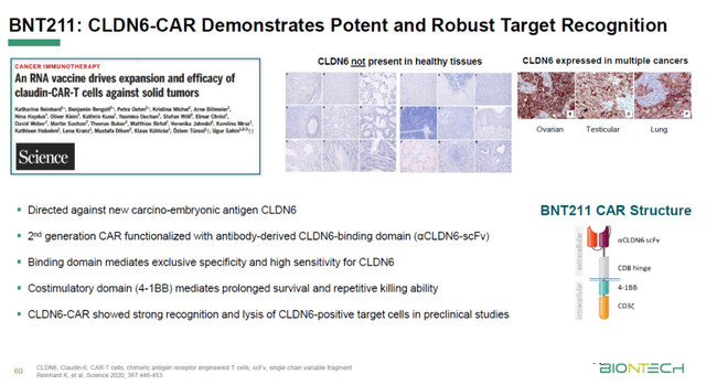 CLDN6的相关介绍 CLDN6的相关介绍