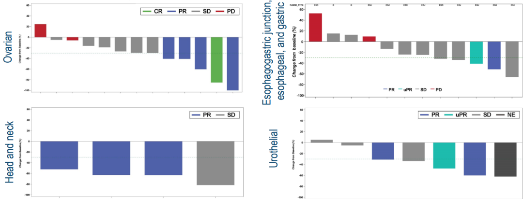 TCR-T疗法疾病控制率高达100% TCR-T疗法疾病控制率高达100%