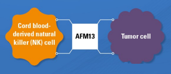 NK细胞疗法 NK细胞疗法
