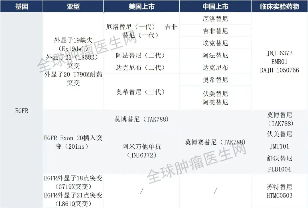 肺癌EGFR靶向药