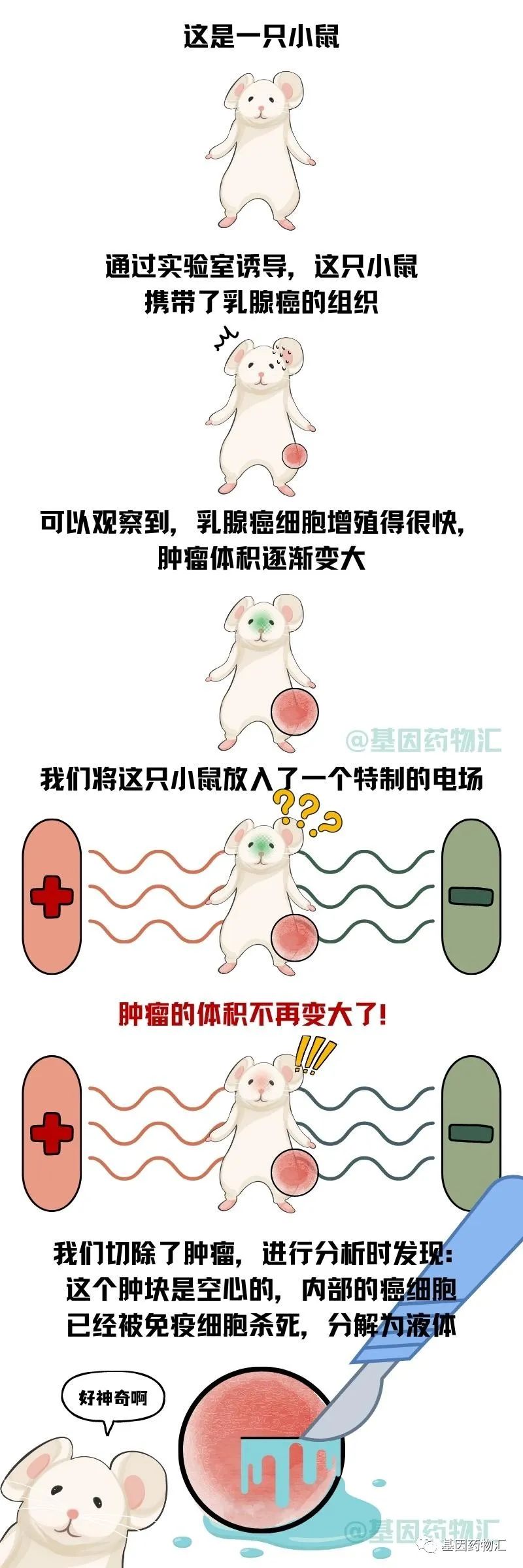 日本的电场疗法疗效如何?研究发现,联用这