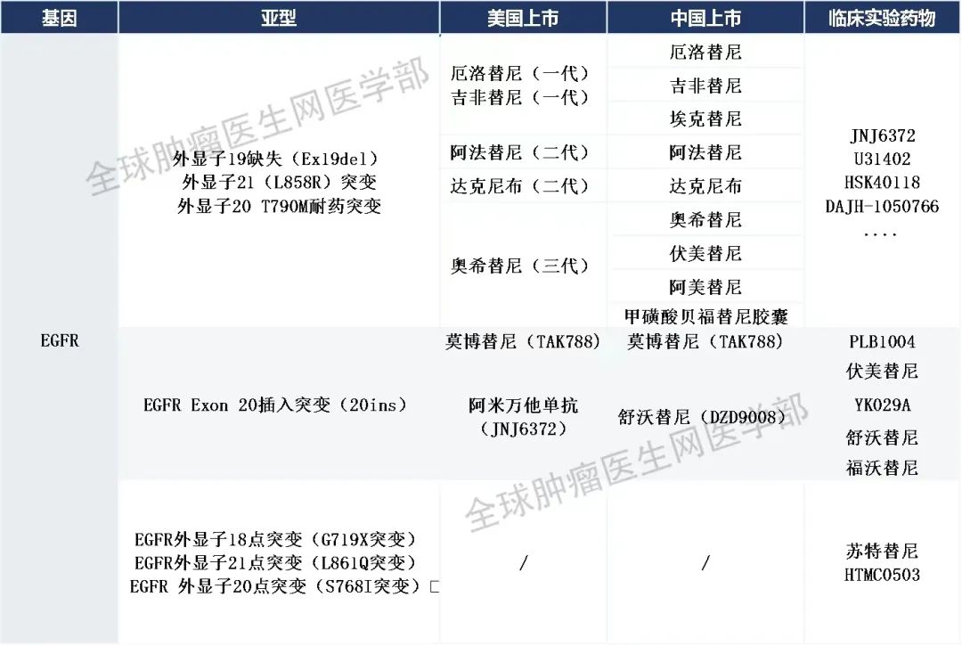 EGFR靶向药 EGFR靶向药