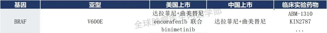 BRAF靶向药 BRAF靶向药