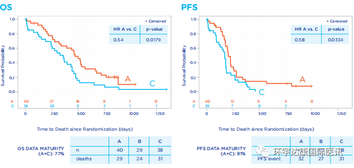 树突细胞疫苗治疗数据 树突细胞疫苗治疗数据