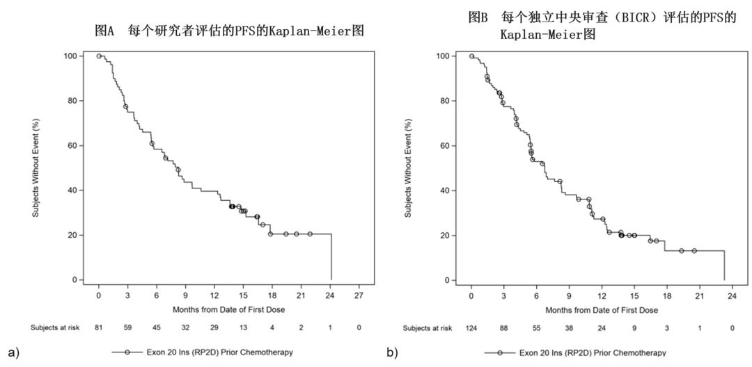 Rybrevant治疗的中位无进展生存期 Rybrevant治疗的中位无进展生存期