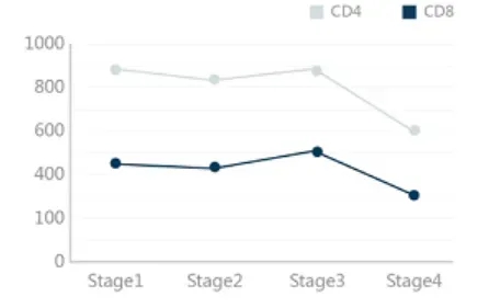 宫颈癌TILs治疗及肿瘤分期 宫颈癌TILs治疗及肿瘤分期