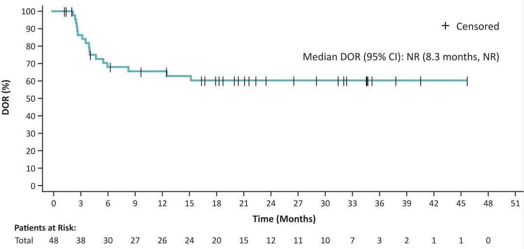 Lifileucel疾病控制率 Lifileucel疾病控制率