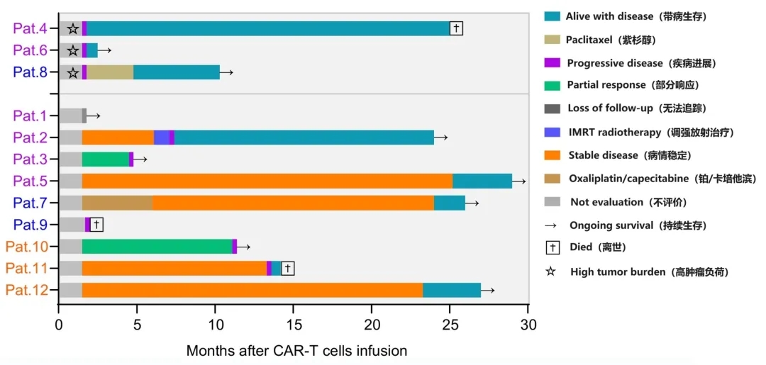 EpCAM CAR-T治疗胃癌的数据 EpCAM CAR-T治疗胃癌的数据
