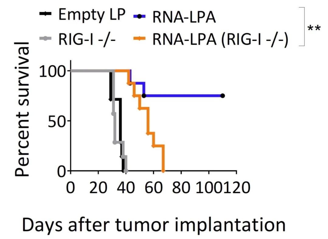 RNA-LPA疫苗治疗脑胶质瘤的数据