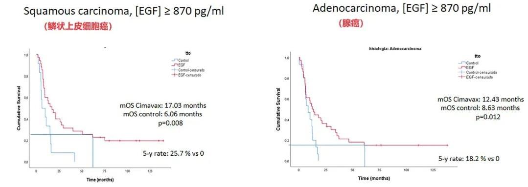 CIMAvax-EGF治疗肺癌的数据