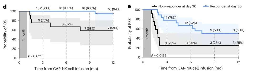 CAR-NK疗法治疗数据