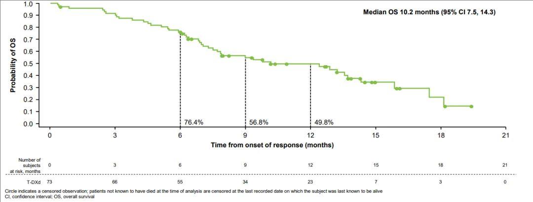 德曲妥珠单抗中位总生存期