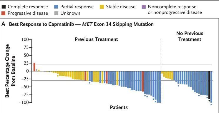 卡马替尼治疗METex14跳跃突变非小细胞肺癌的总体缓解率