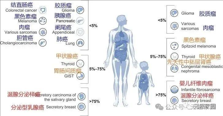 不限癌种!疾病控制率达100%,国产新一代3款NTRK靶向药