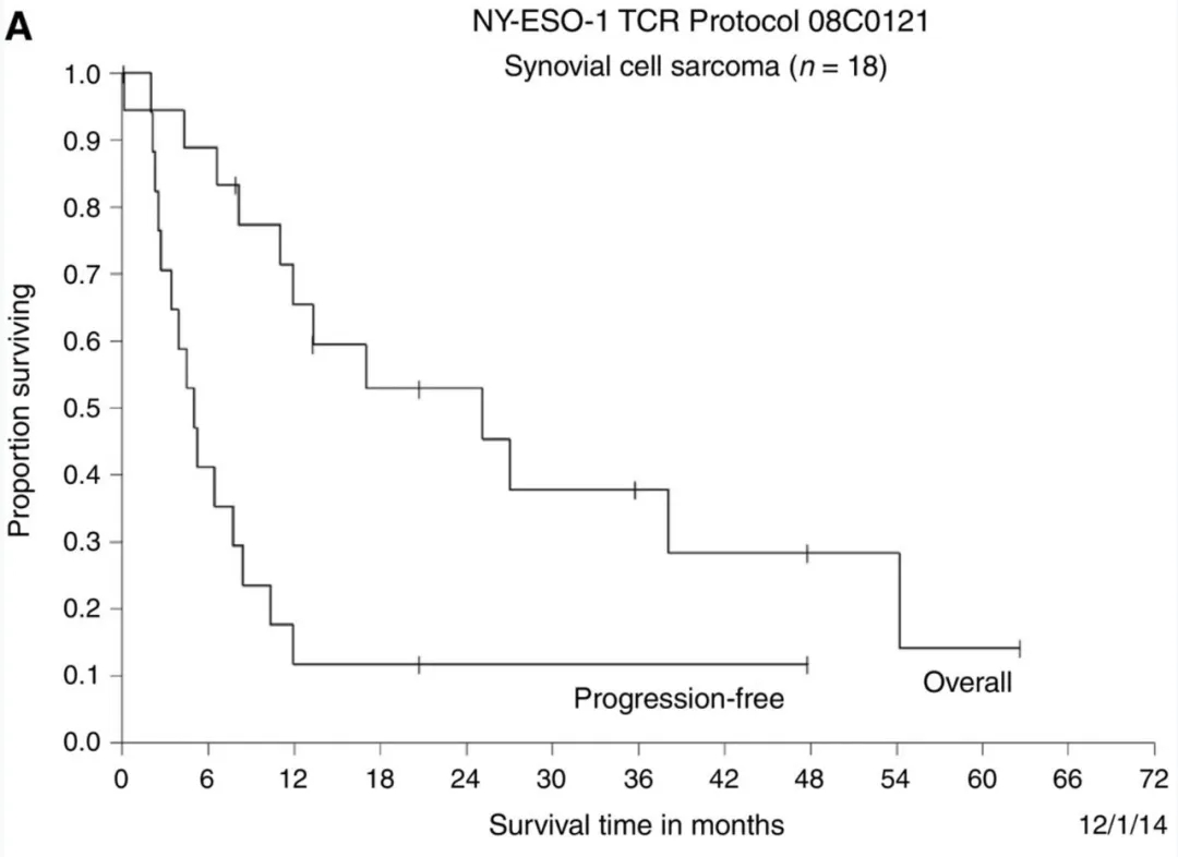 NY-ESO-1治疗数据