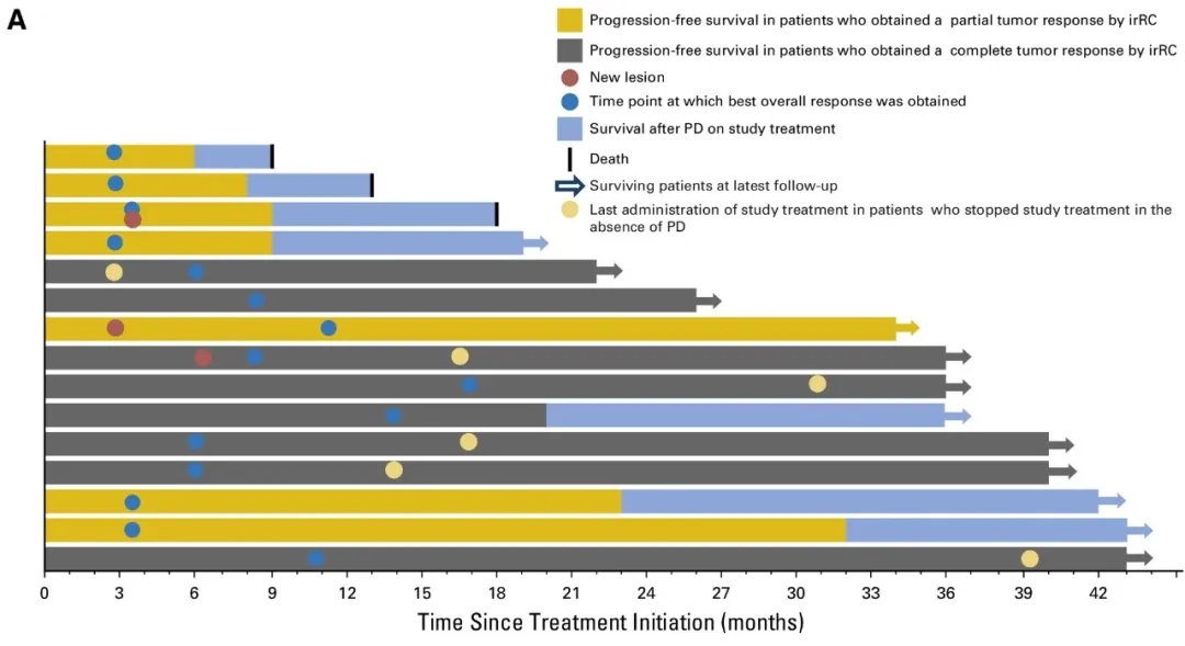 TriMixDC-MEL联合伊匹木单抗治疗黑色素瘤的数据