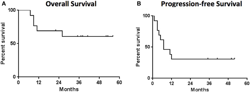 TIL细胞疗法联合伊匹木单抗治疗黑色素瘤的数据